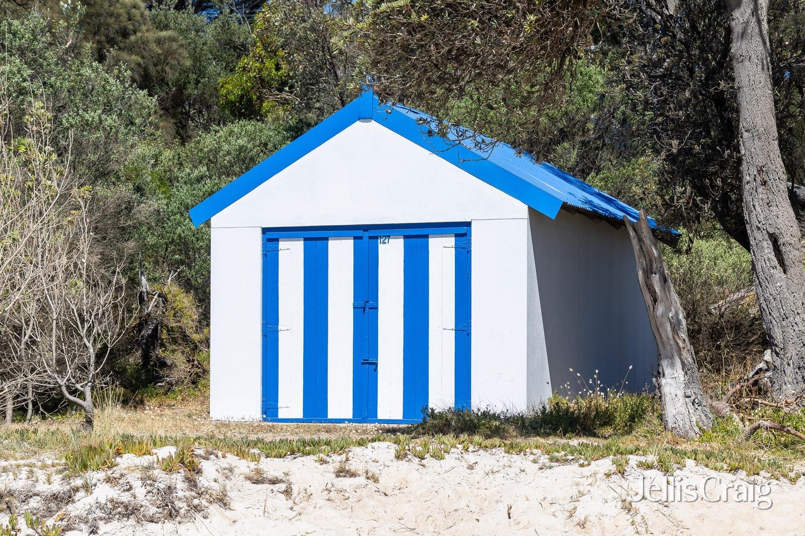 Boatshed 127 Dromana Foreshore Beach, Dromana image 10