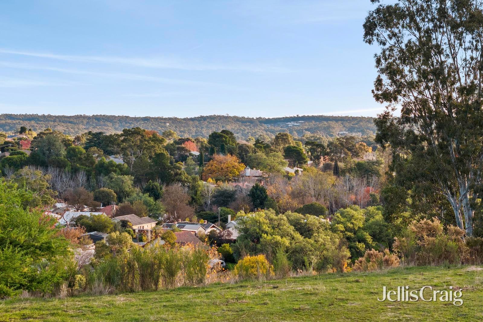 CA 23 Duke Street, Castlemaine image 6