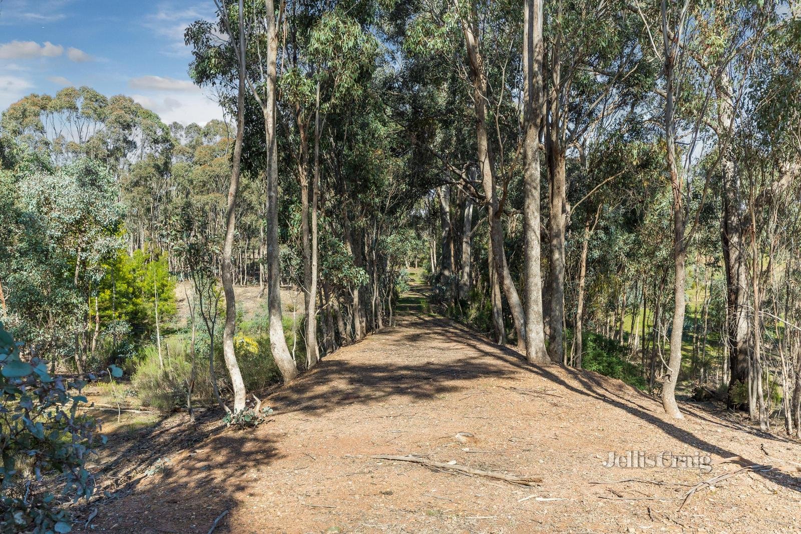 CA 31, 34a Carol Street, Castlemaine image 4