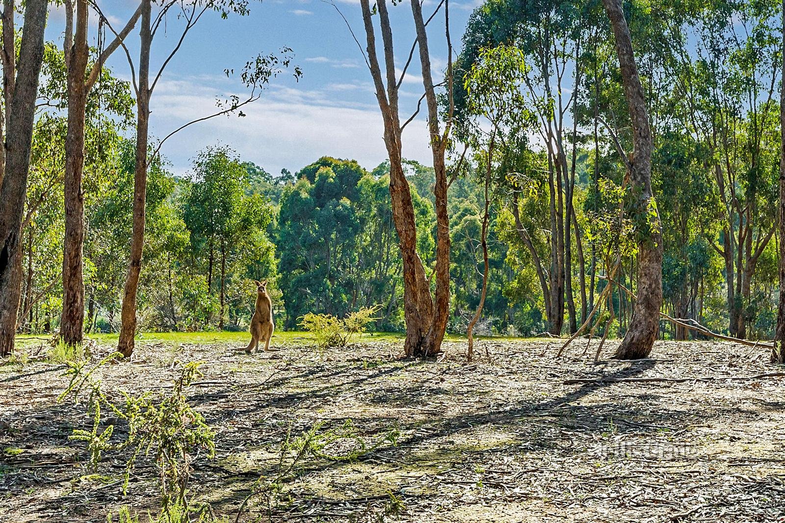 CA 34, 34a Carol Street, Castlemaine, VIC 3450 Land for Sale