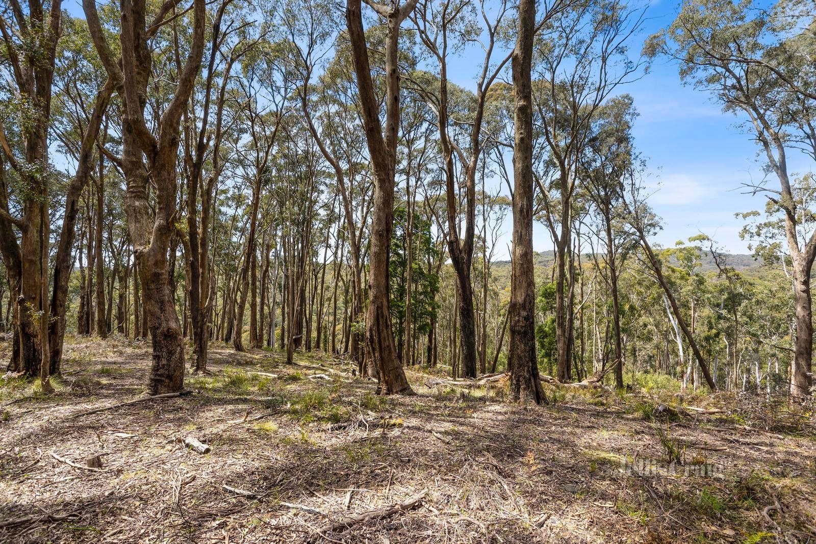 CA 6A, B, C & D Quicks Road, Blackwood image 1