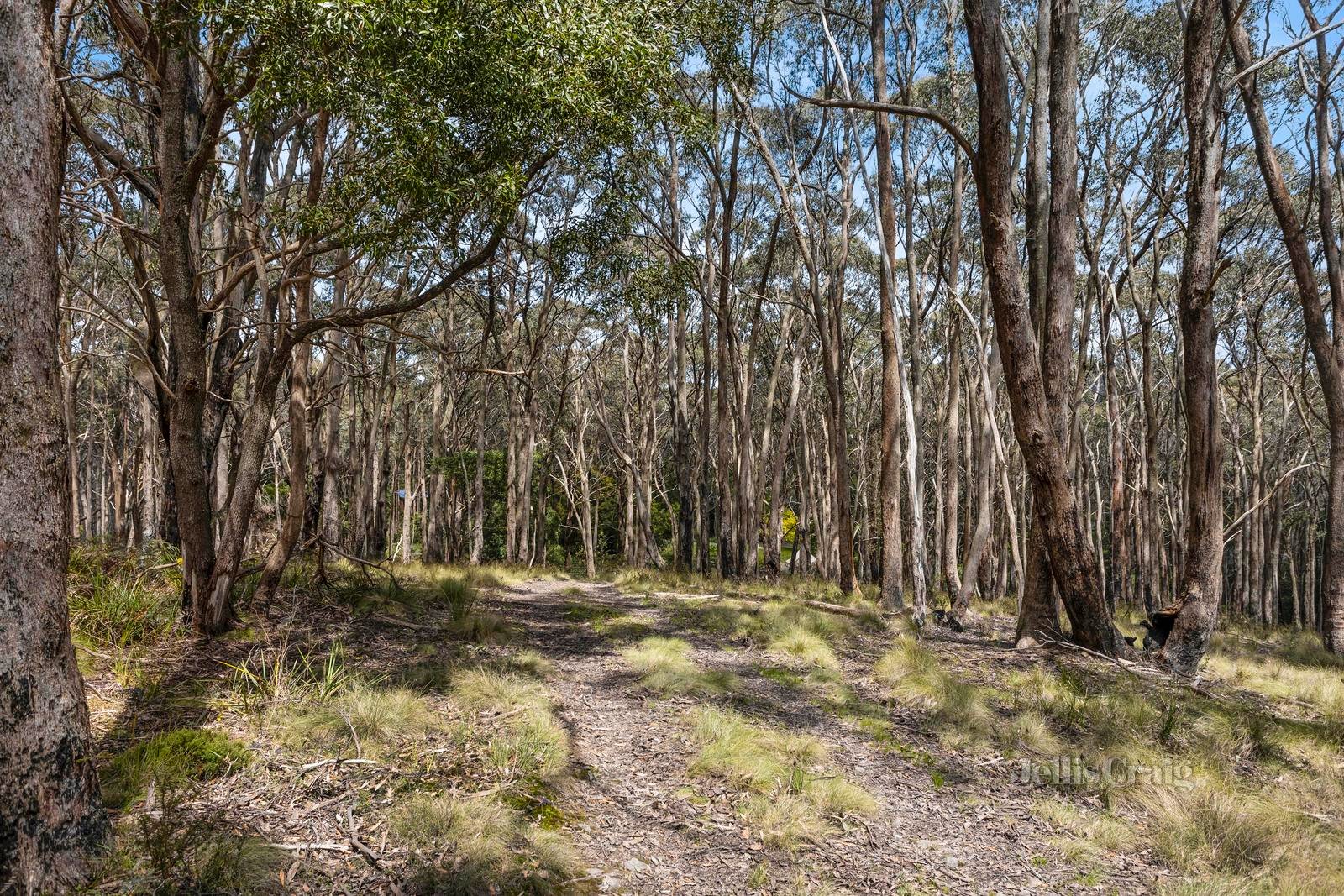 CA 6A, B, C & D Quicks Road, Blackwood image 6