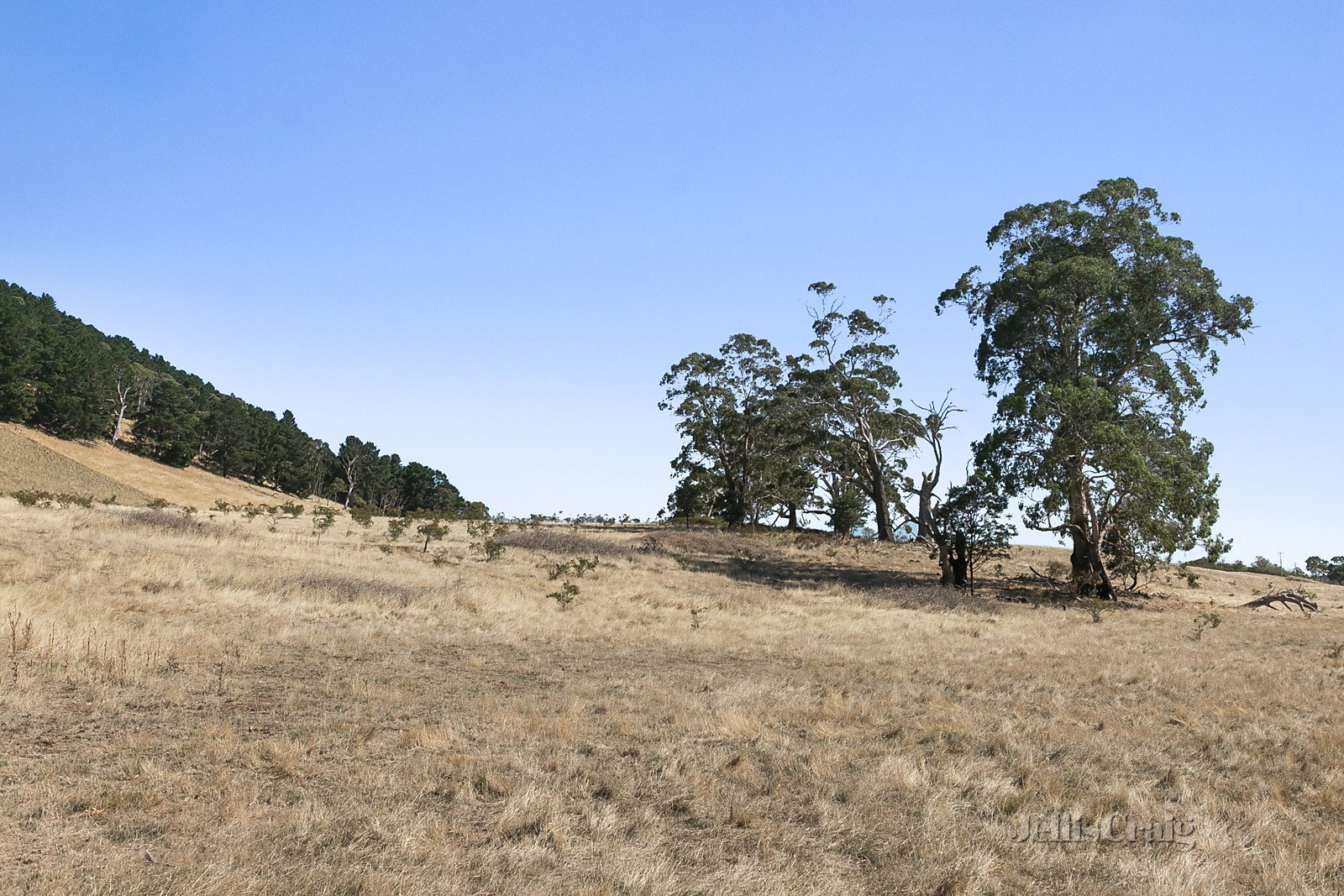 CA1, Section 10 Leslies Road, Mount Franklin image 4