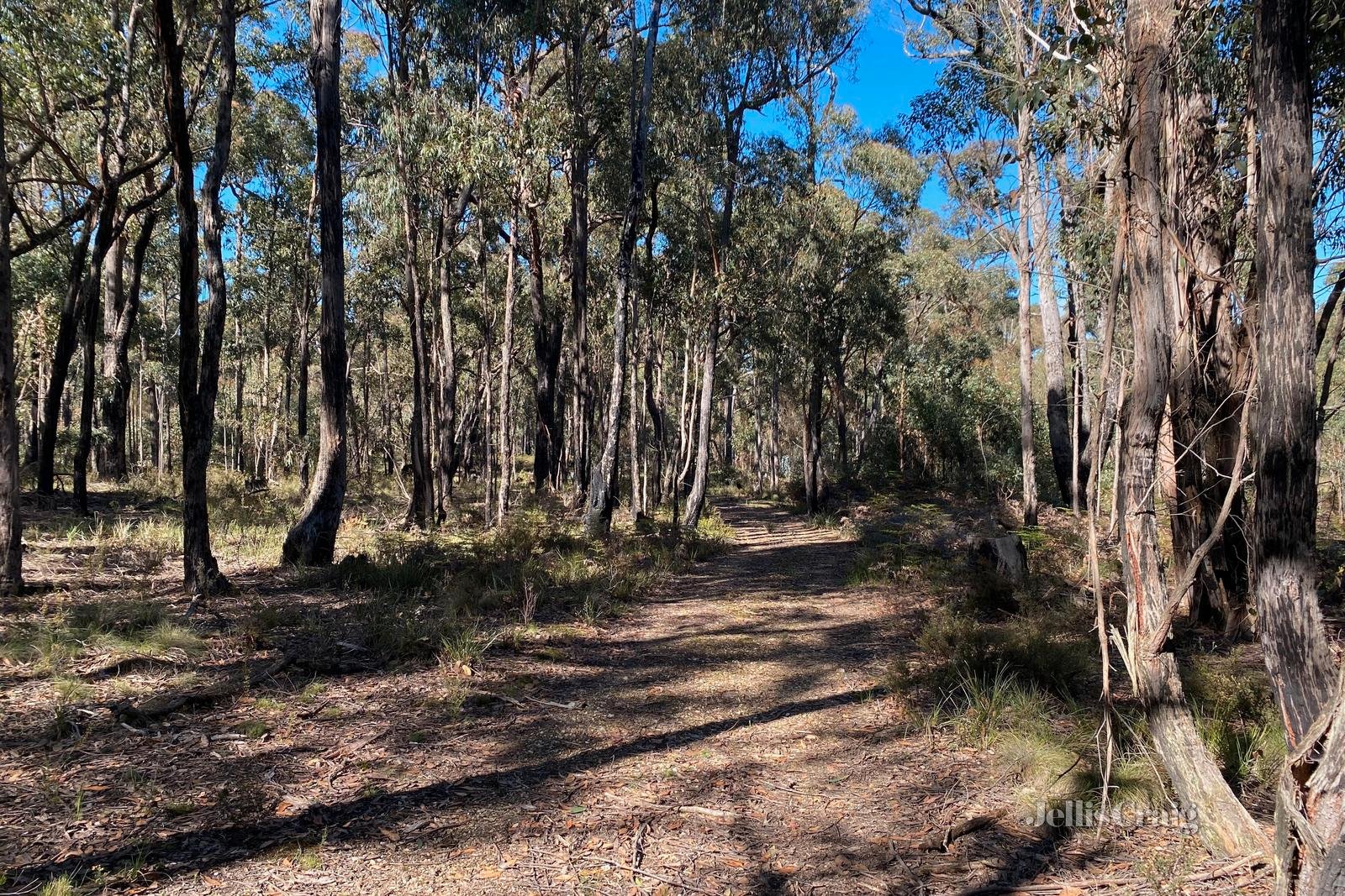 CA2C Section B Possum Gully Road, Snake Valley image 2