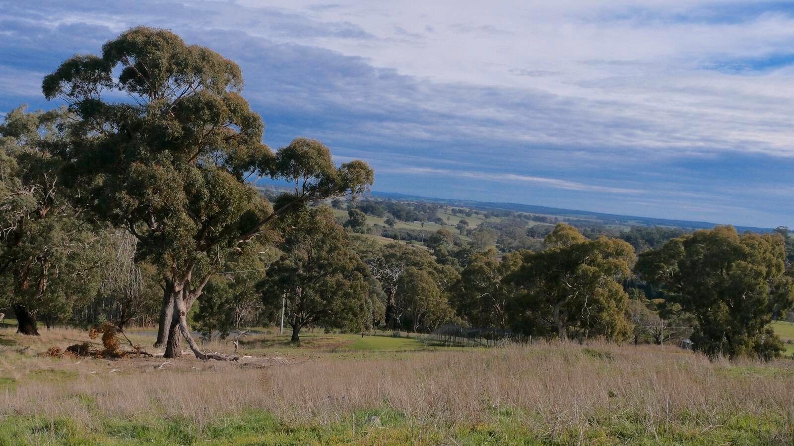 Property Gallery - Main Image