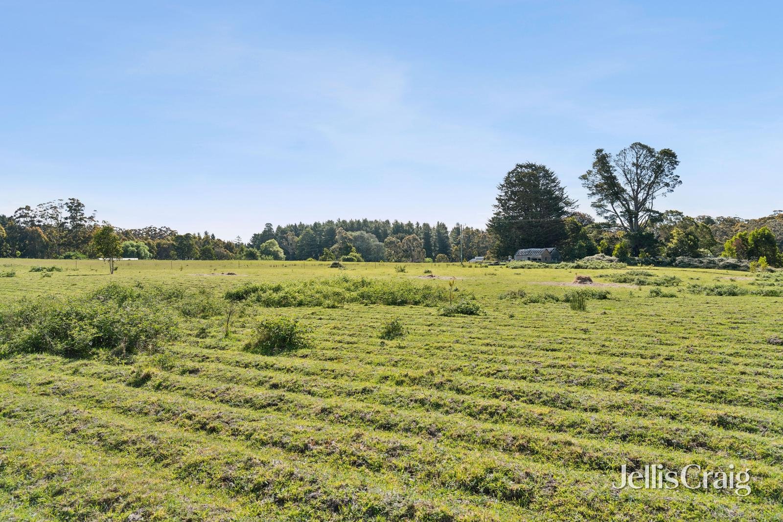 CA8 & CA9 Costello Track, Bolwarrah image 4