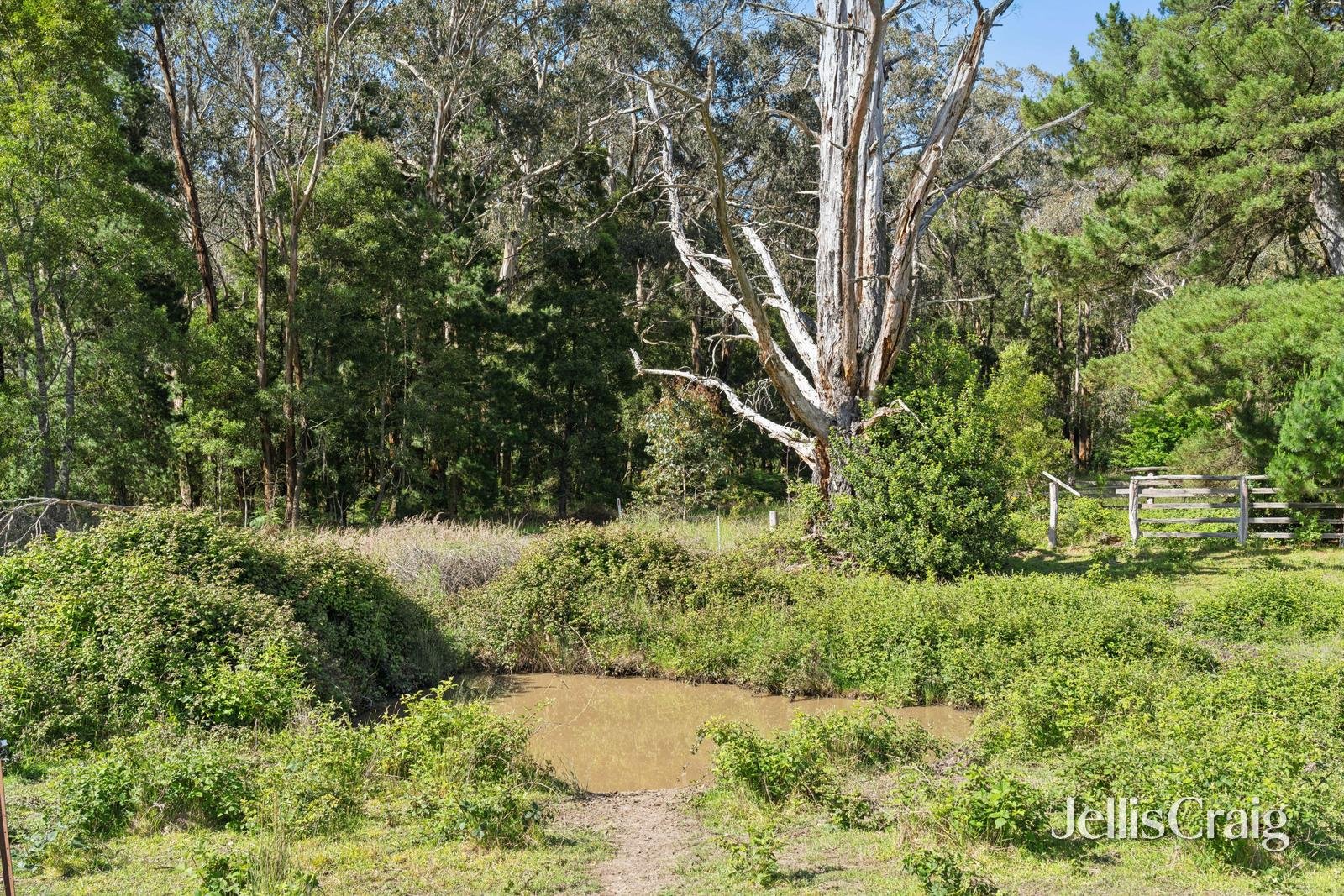 CA8 & CA9 Costello Track, Bolwarrah image 10