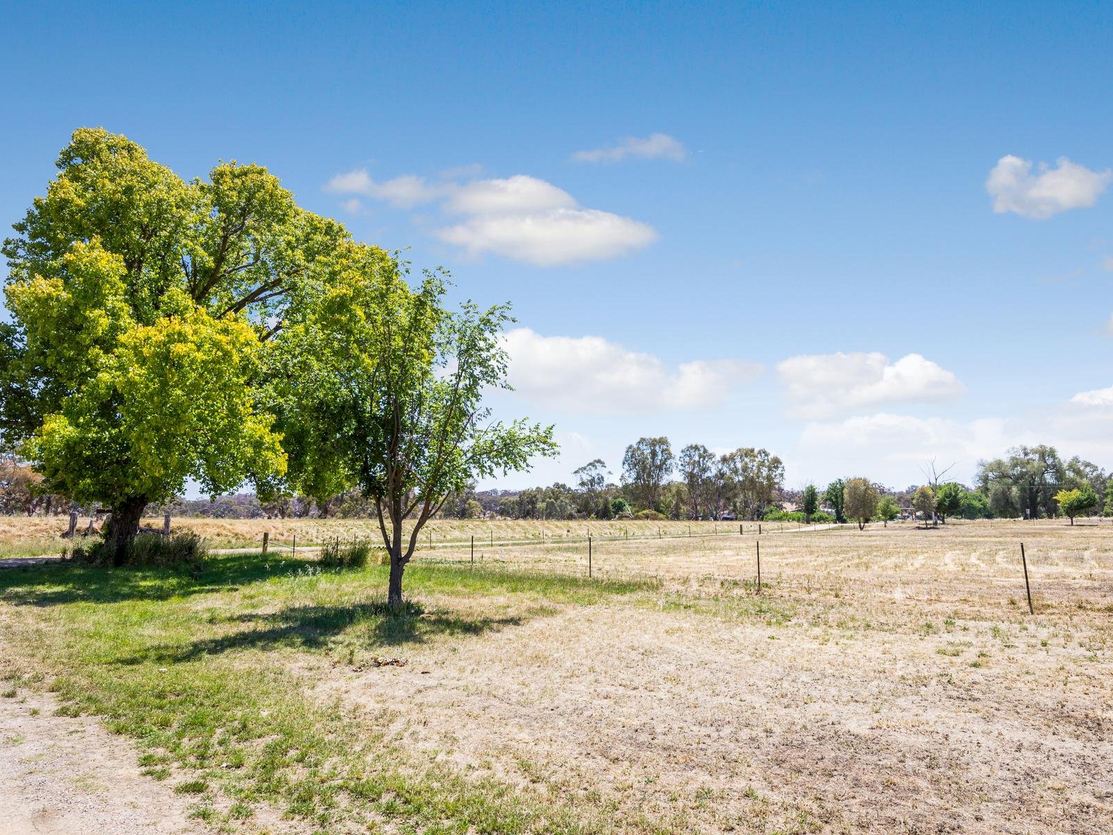 Corner Adair And Panmure Street, Newstead image 2