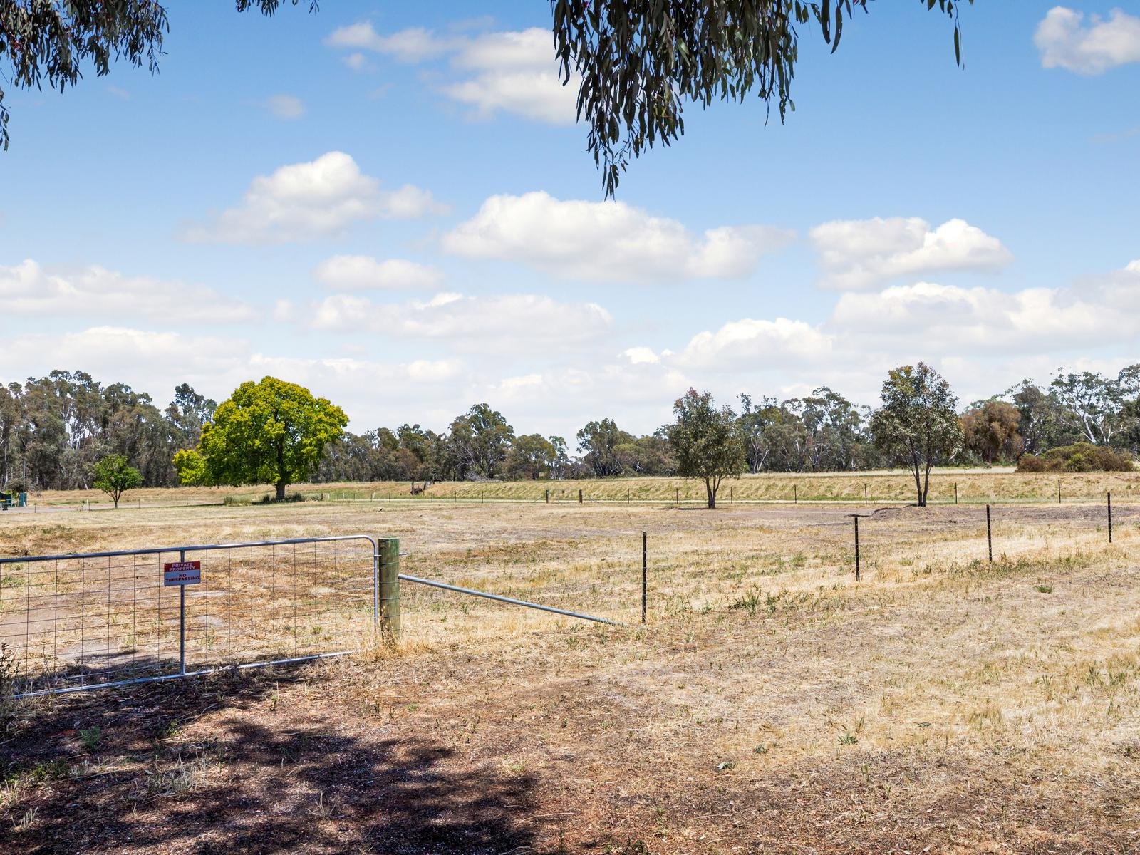 Corner Adair And Panmure Street, Newstead image 5