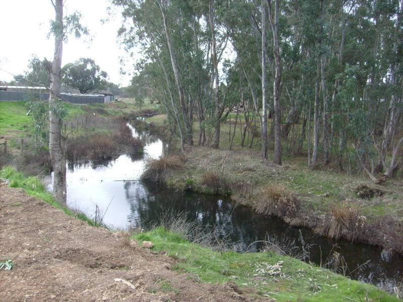 Elizabeth Street, Campbells Creek image 2