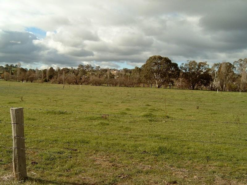 Elizabeth Street, Campbells Creek image 4