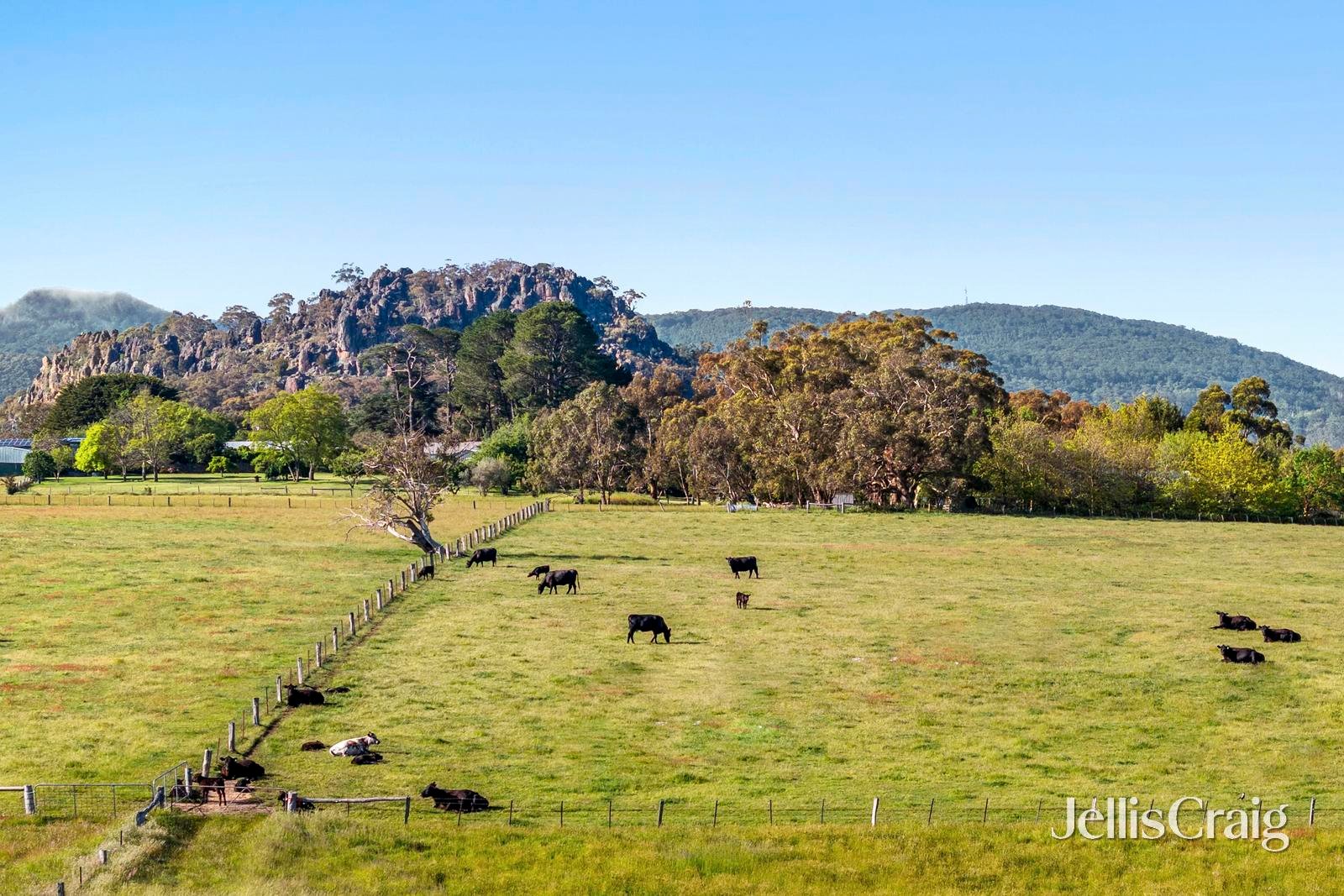 Lesmurdie Park 1265 Rochford Road, Newham image 13