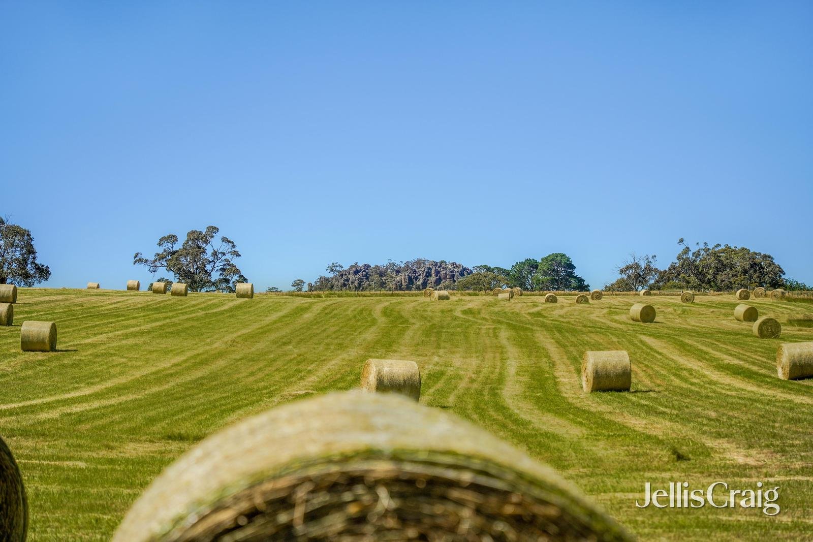 Lesmurdie Park 1265 Rochford Road, Newham image 14