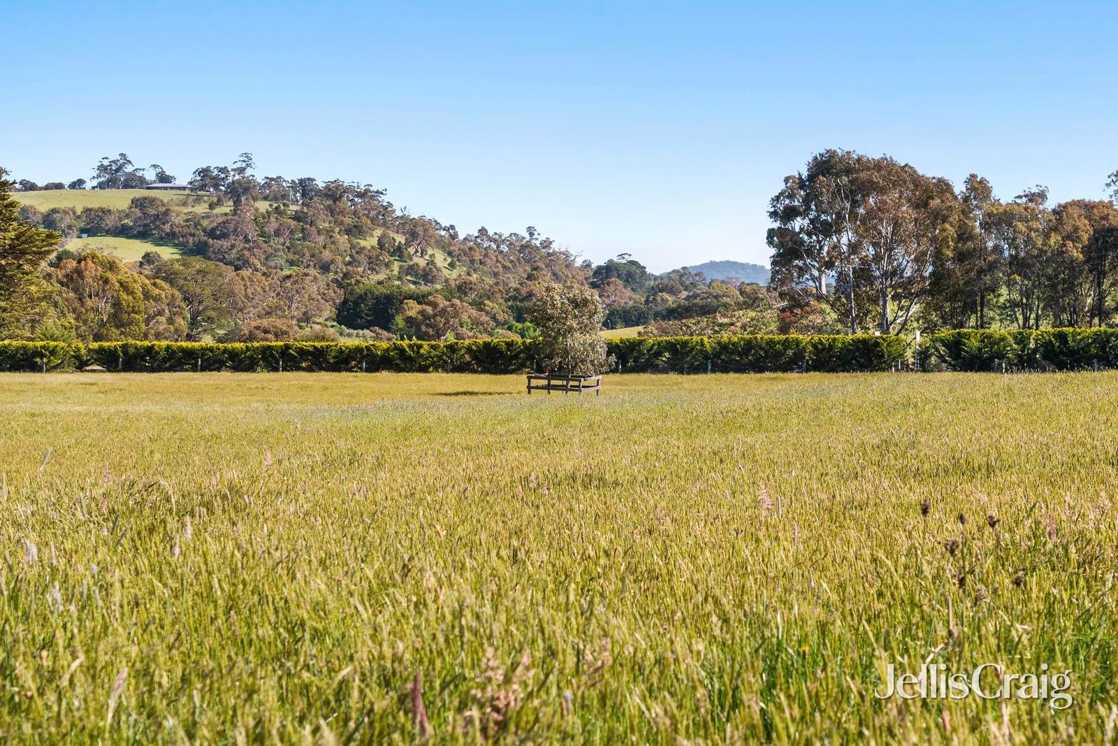 Lesmurdie Park 1265 Rochford Road, Newham image 30