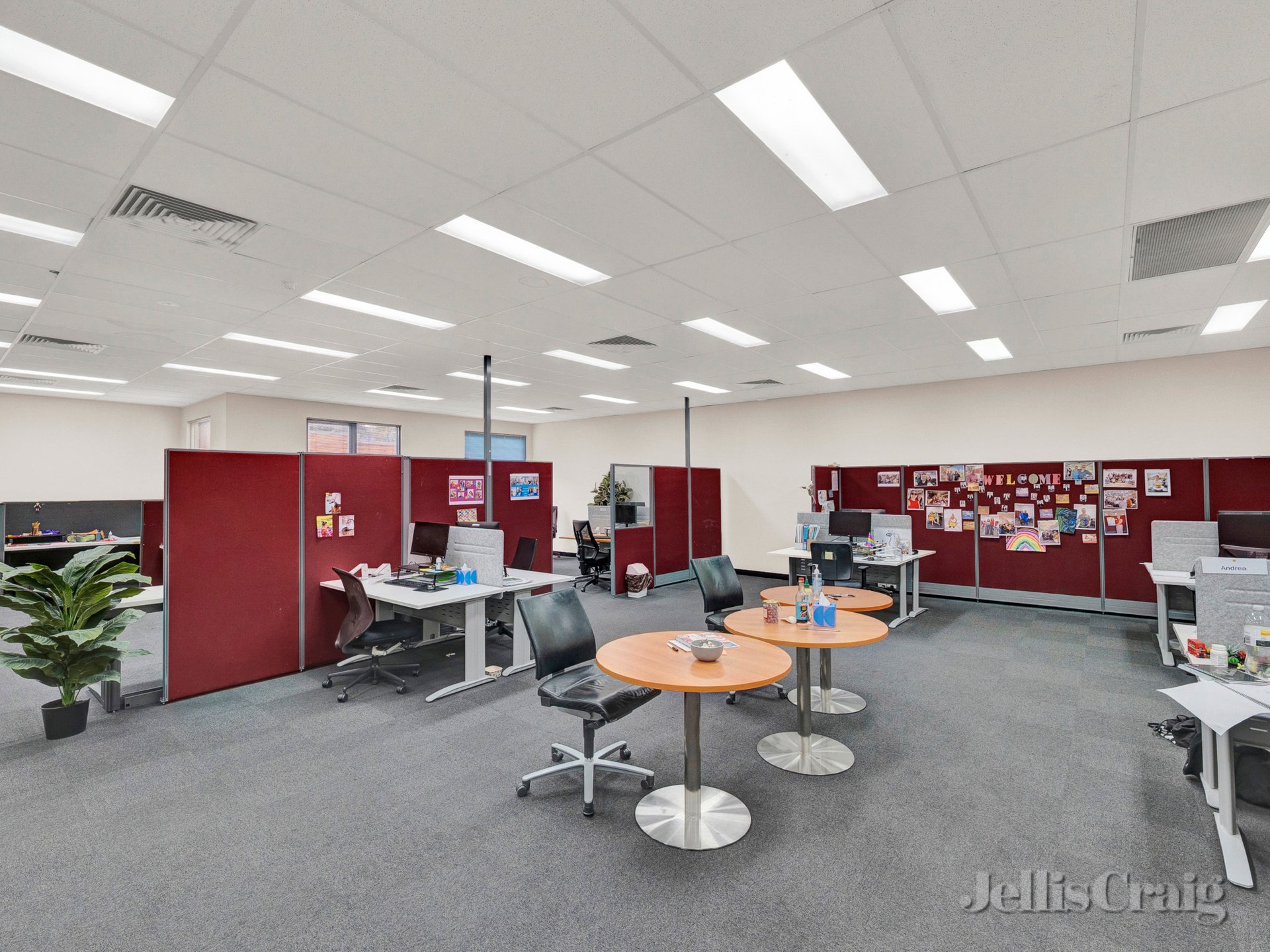 Level 1/235 Lower Heidelberg Road, Ivanhoe East image 4