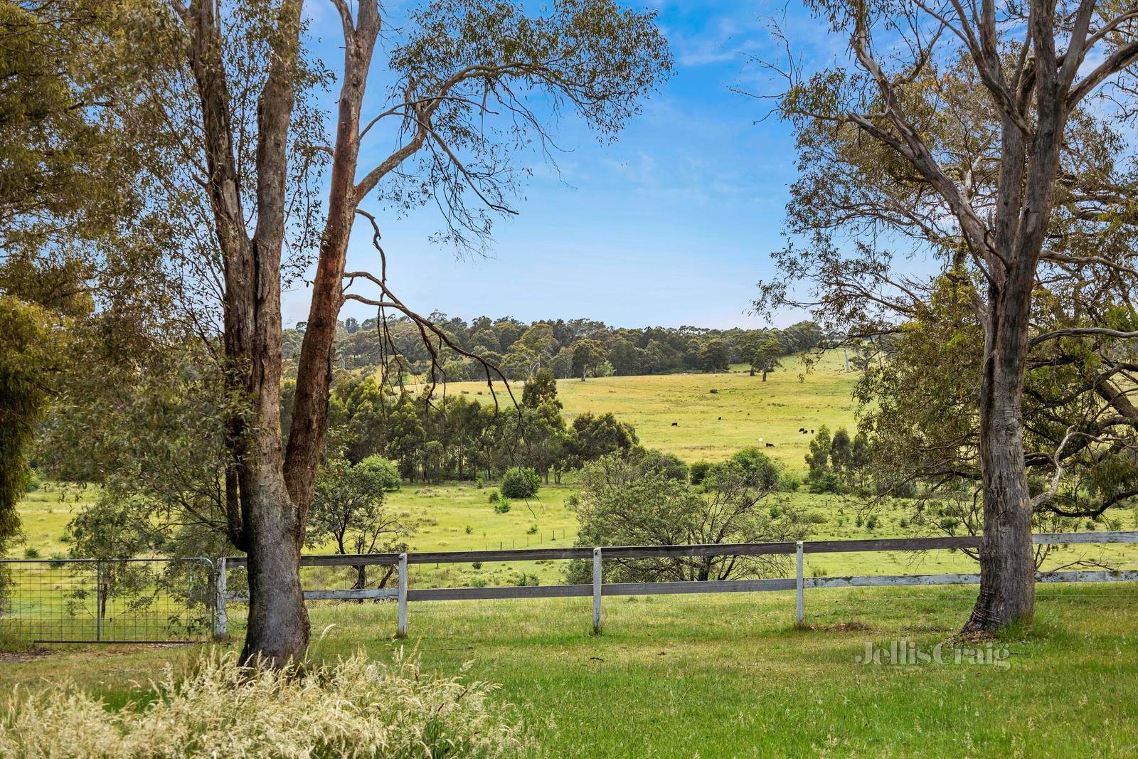 'Lightwood' 1394 Trentham Road, Kyneton image 2