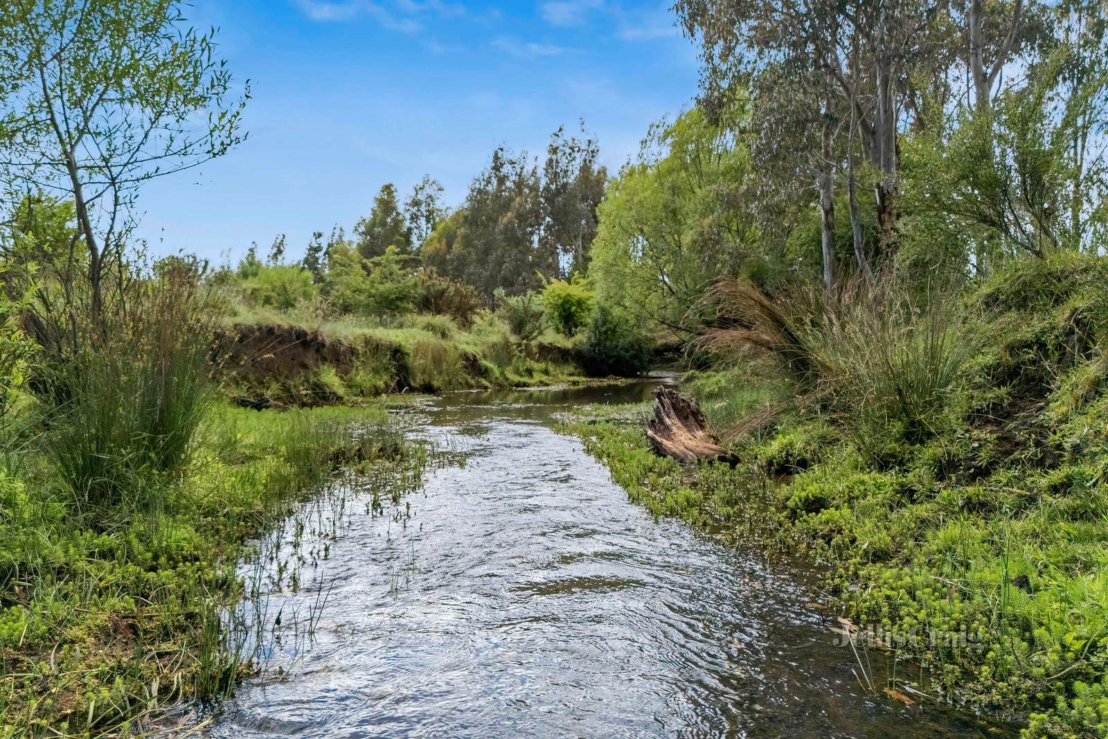 'Lightwood' 1394 Trentham Road, Kyneton image 5