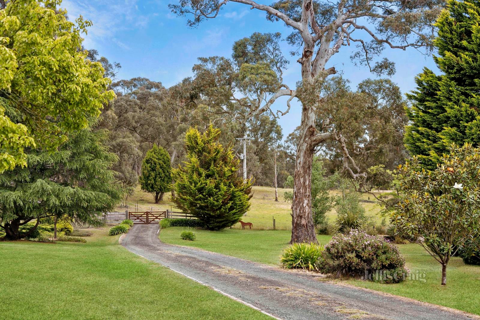 'Lightwood' 1394 Trentham Road, Kyneton image 7