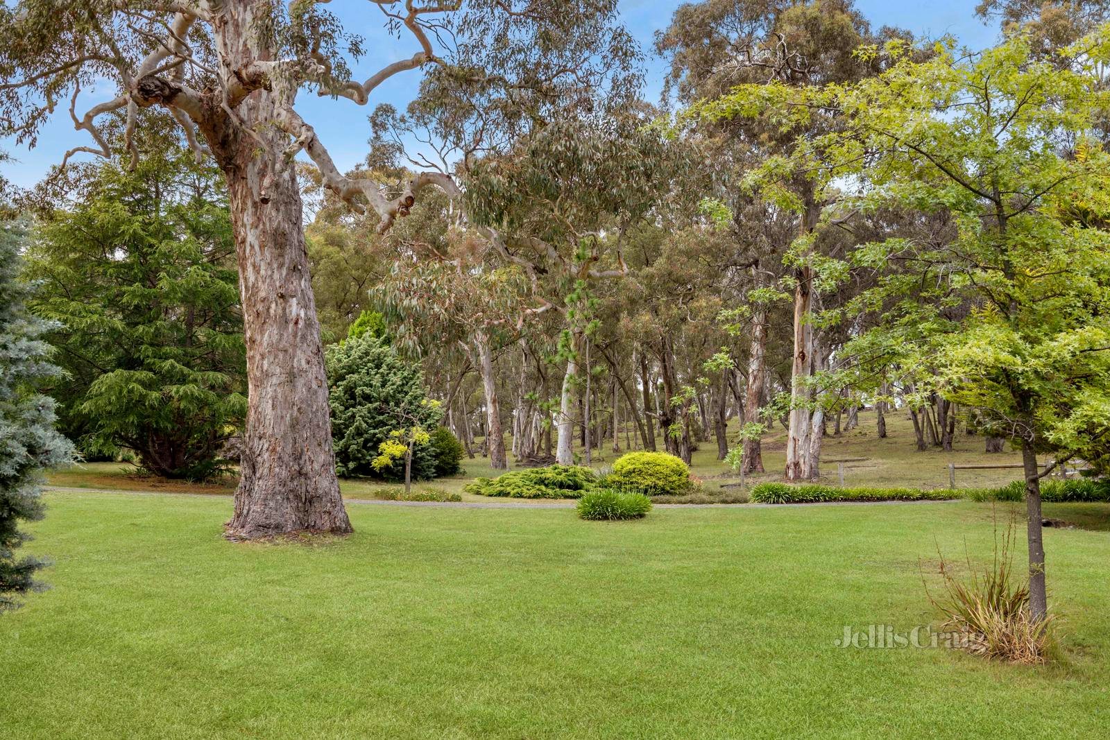 'Lightwood' 1394 Trentham Road, Kyneton image 12