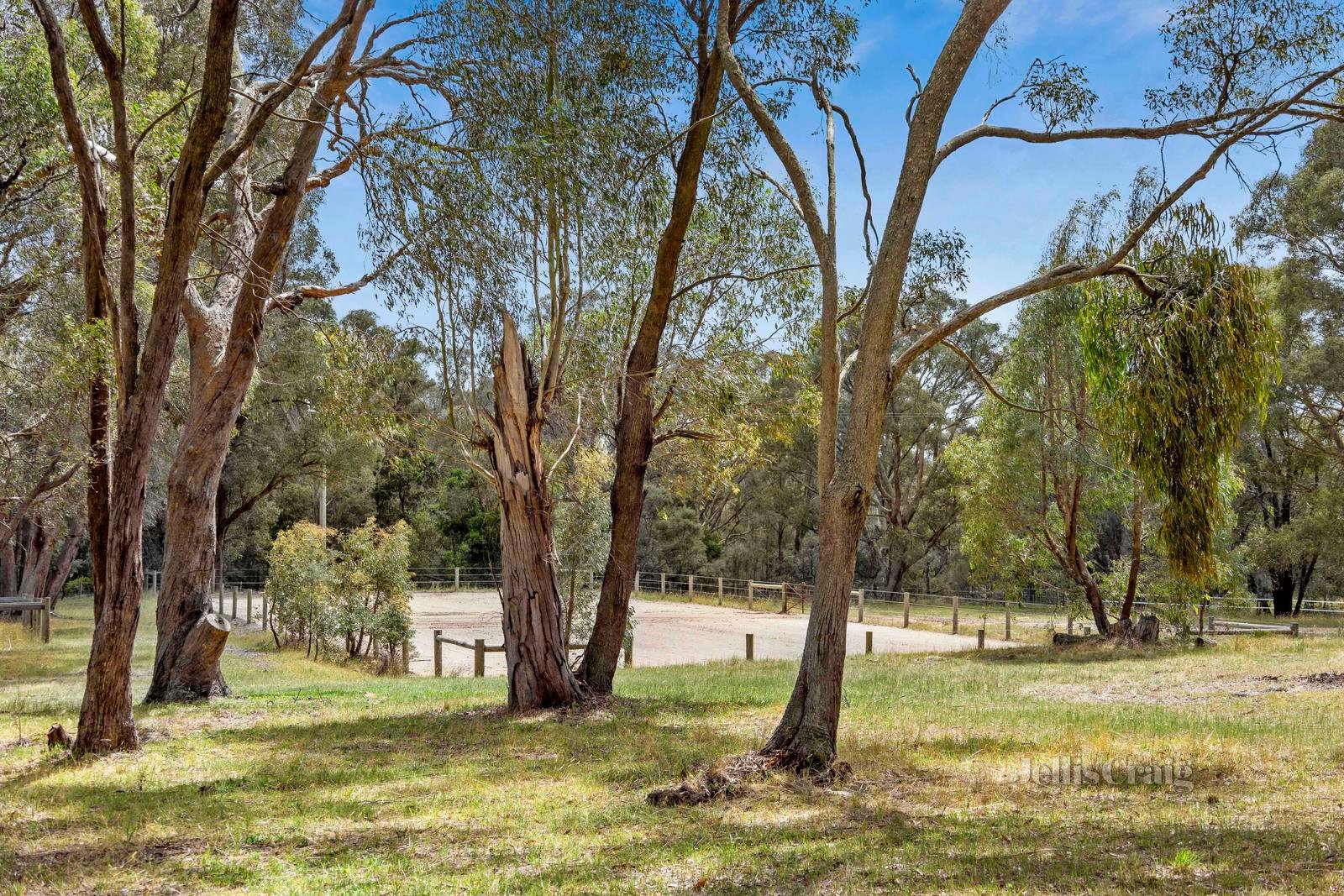 'Lightwood' 1394 Trentham Road, Kyneton image 13