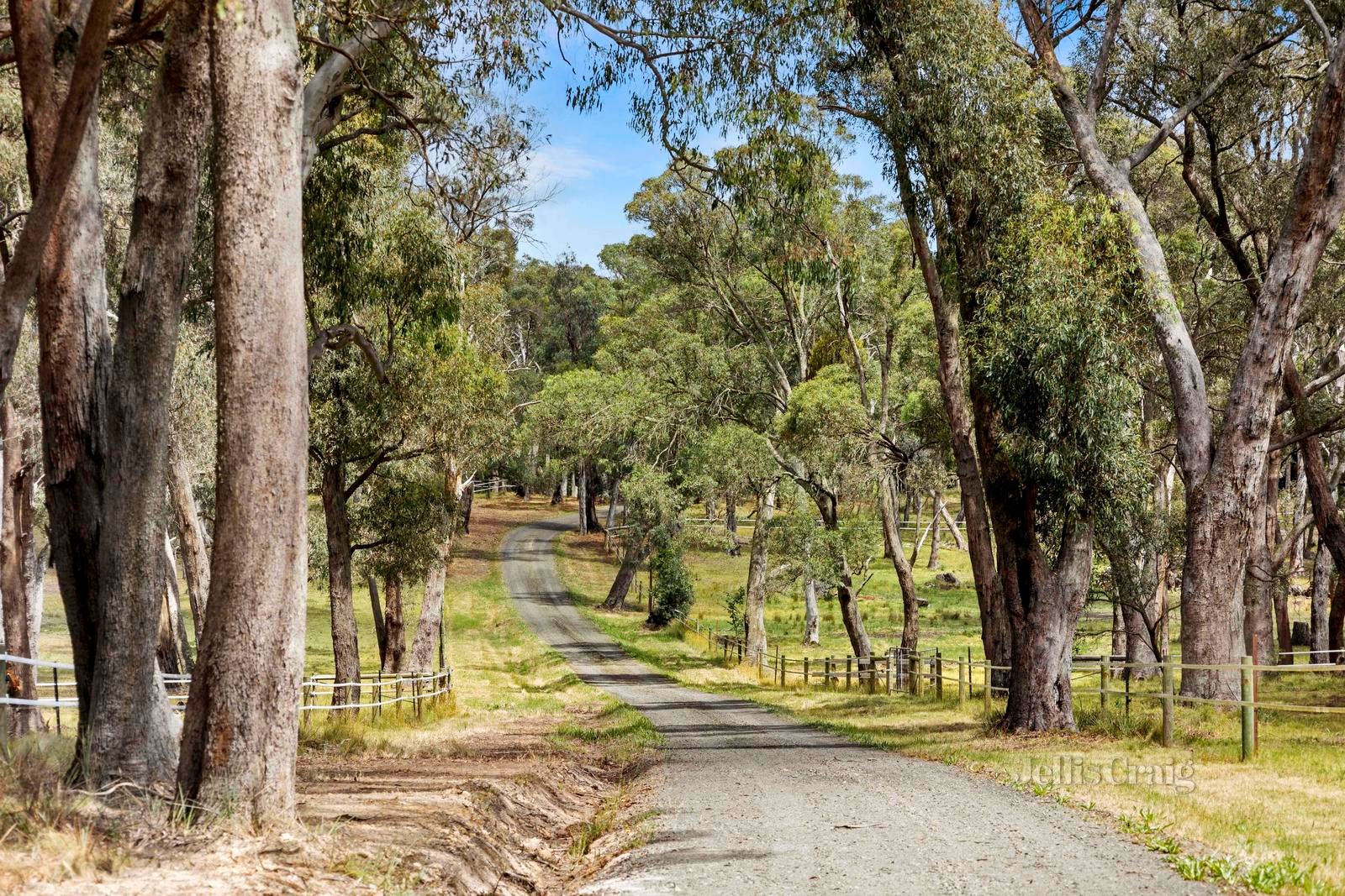 'Lightwood' 1394 Trentham Road, Kyneton image 22