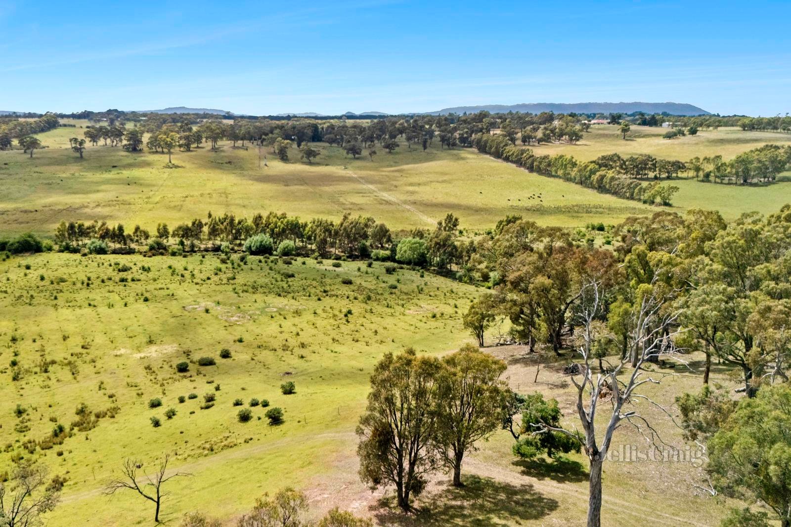 'Lightwood' 1394 Trentham Road, Kyneton image 23