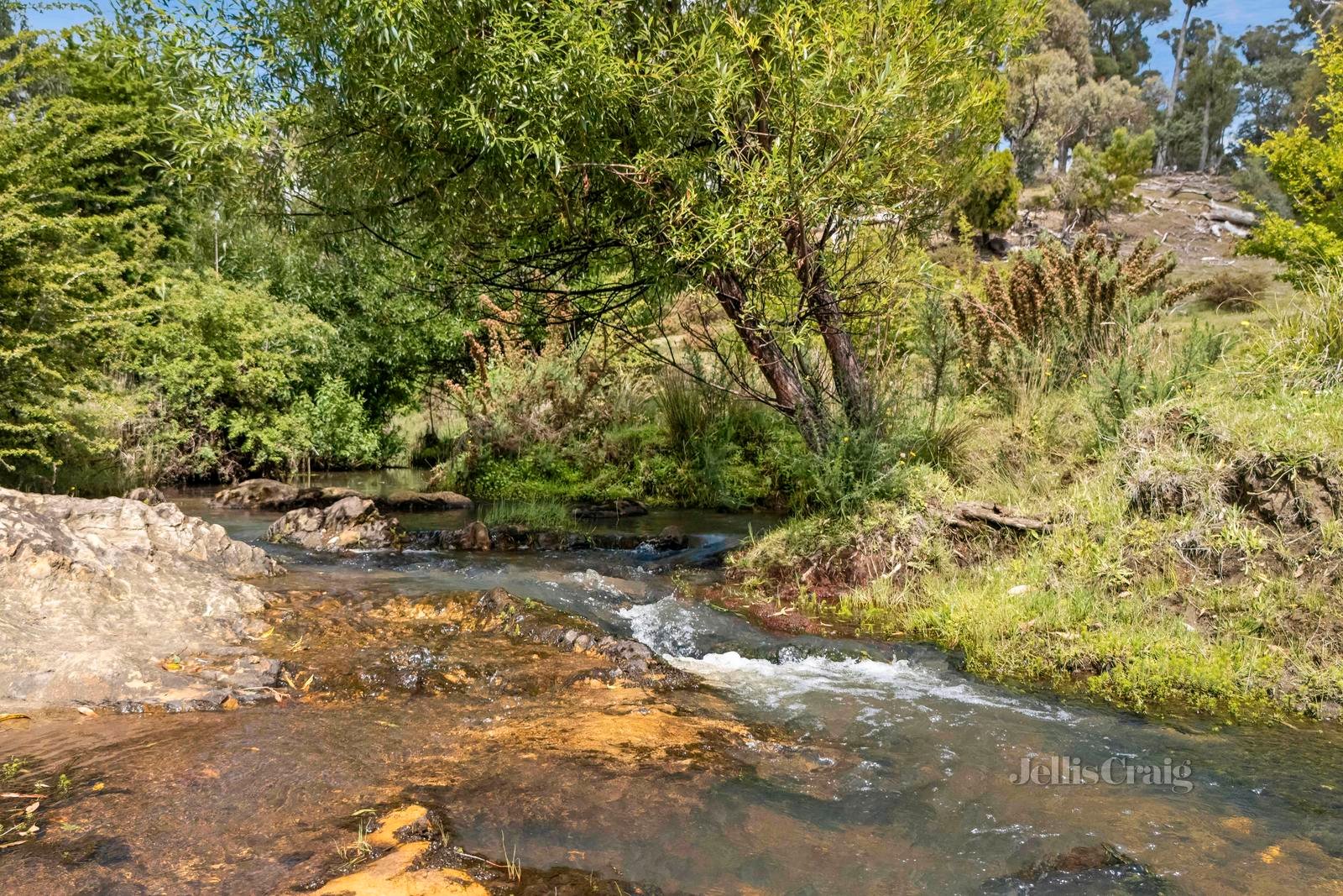 'Lightwood' 1394 Trentham Road, Kyneton image 25