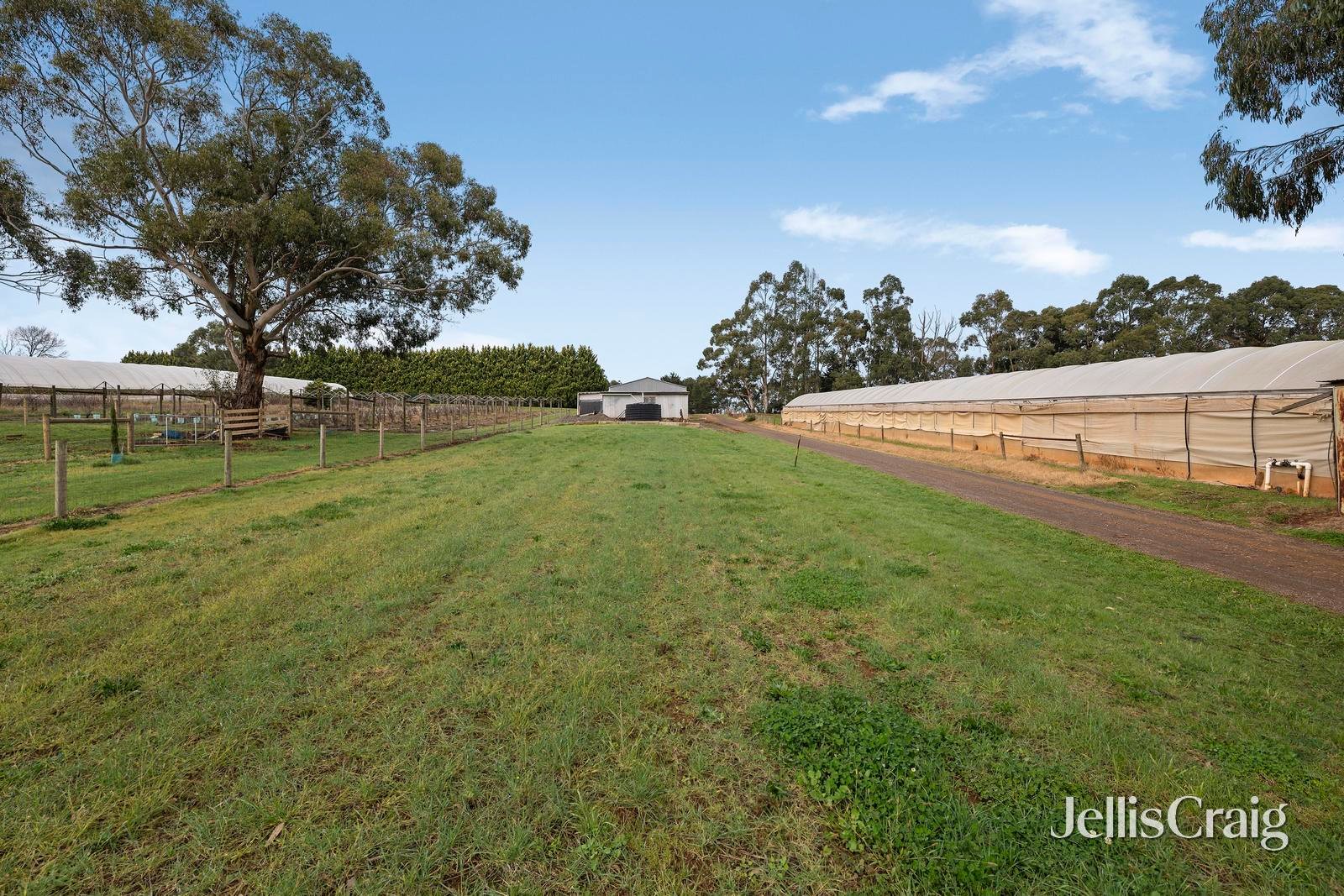 1/113 Monbulk-Seville Road, Wandin&nbsp;East image 5