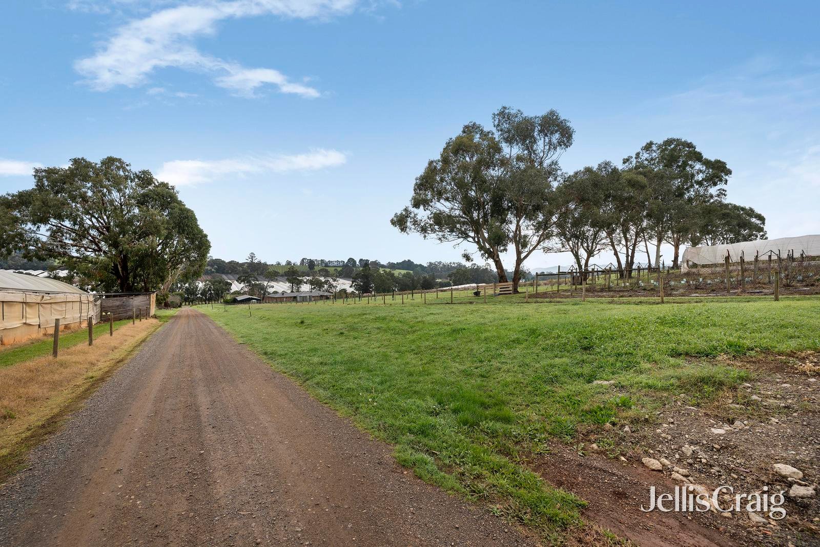 1/113 Monbulk-Seville Road, Wandin&nbsp;East image 7