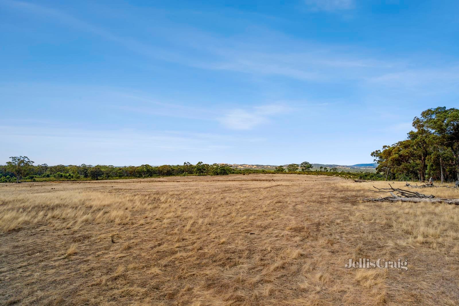 Lot 1, 69 Lewis Road, Maldon image 6