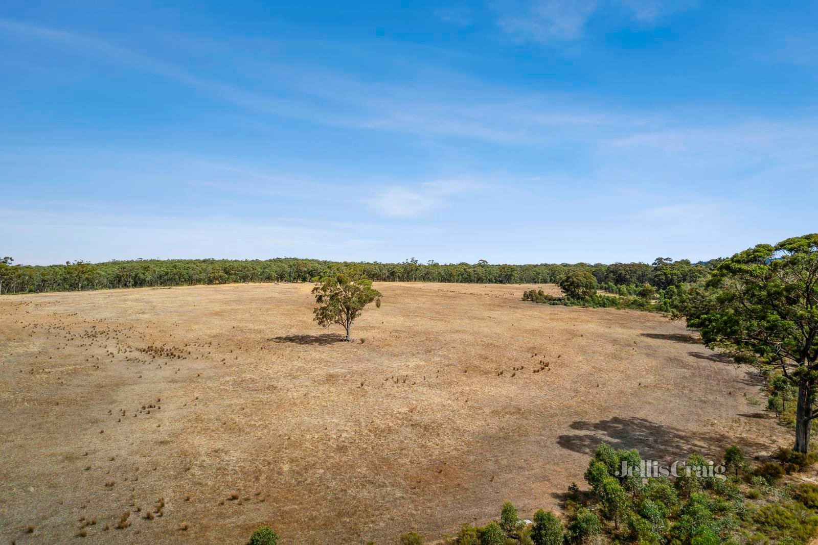 Lot 1, 69 Lewis Road, Maldon image 7
