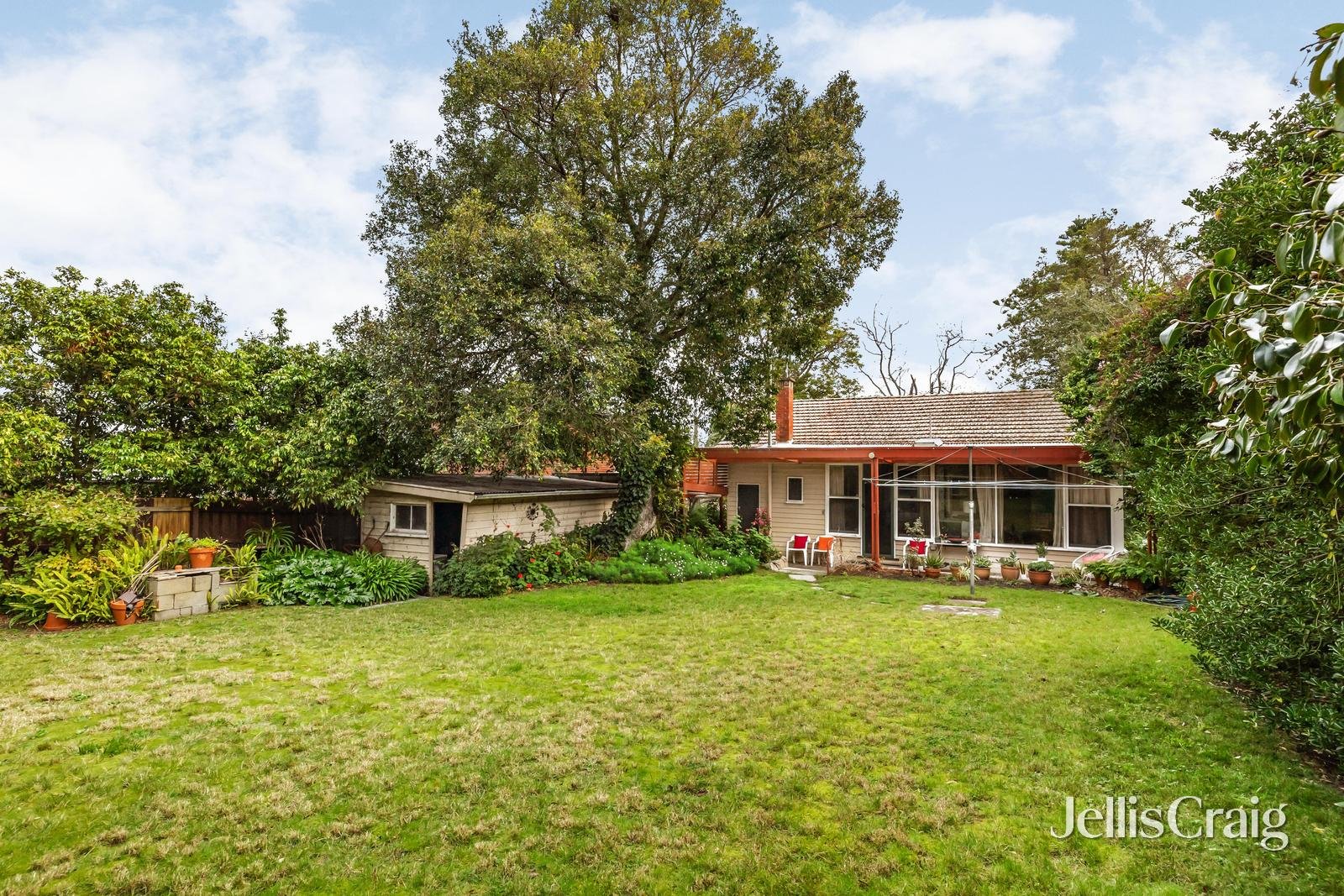 7 Brynmawr Road, Camberwell image 4