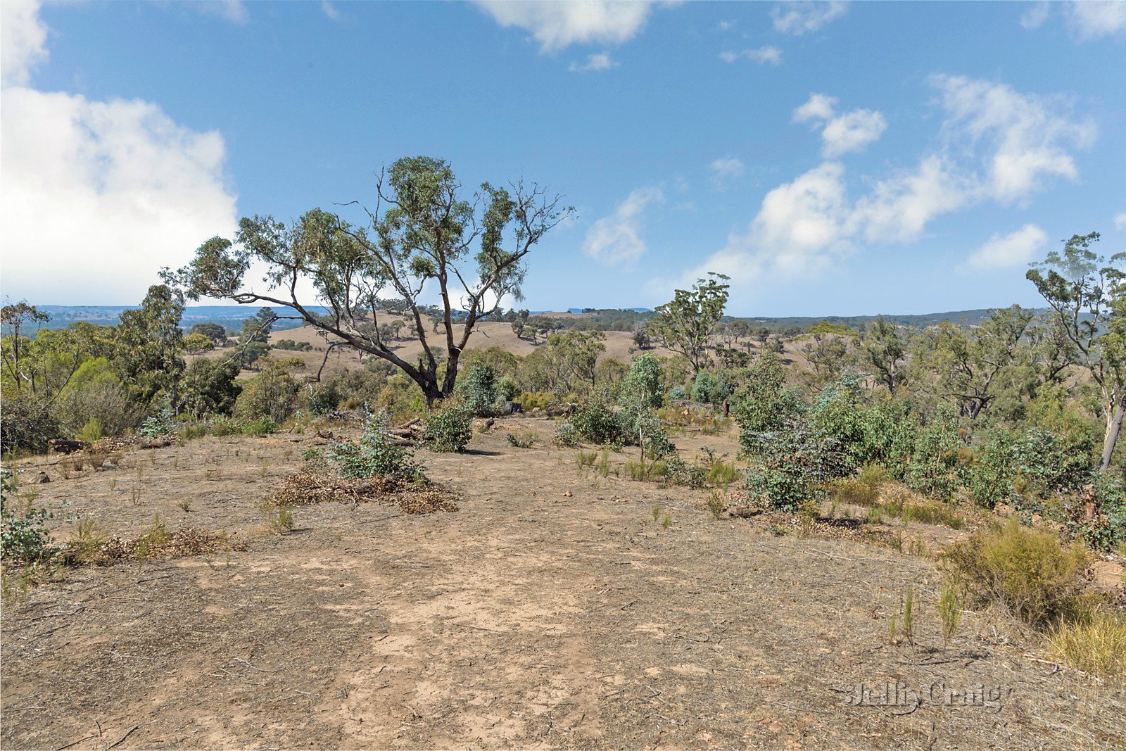 Lot 1 Bush Sanctuary Road, Chewton Bushlands image 2