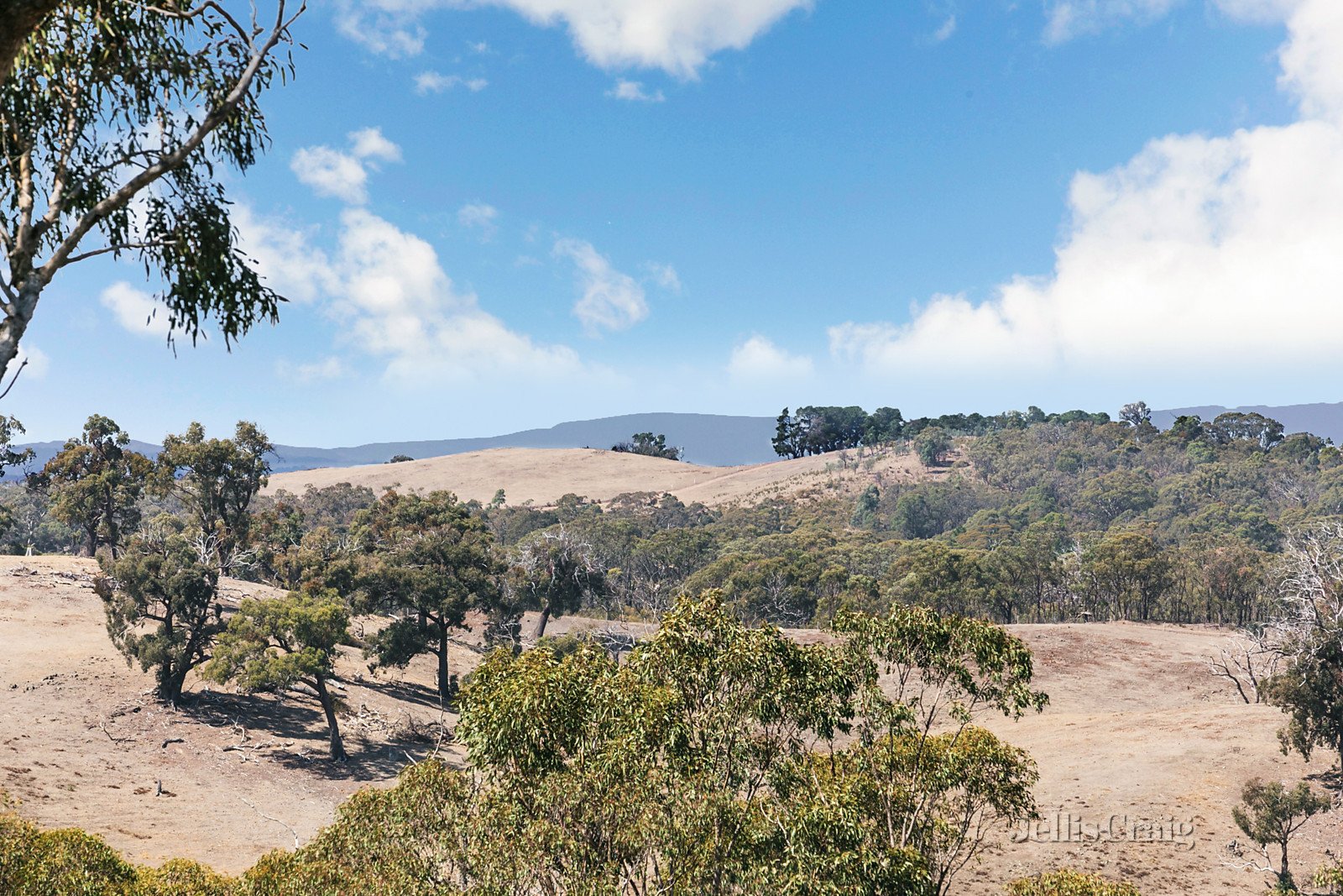 Lot 1 Bush Sanctuary Road, Chewton Bushlands image 4