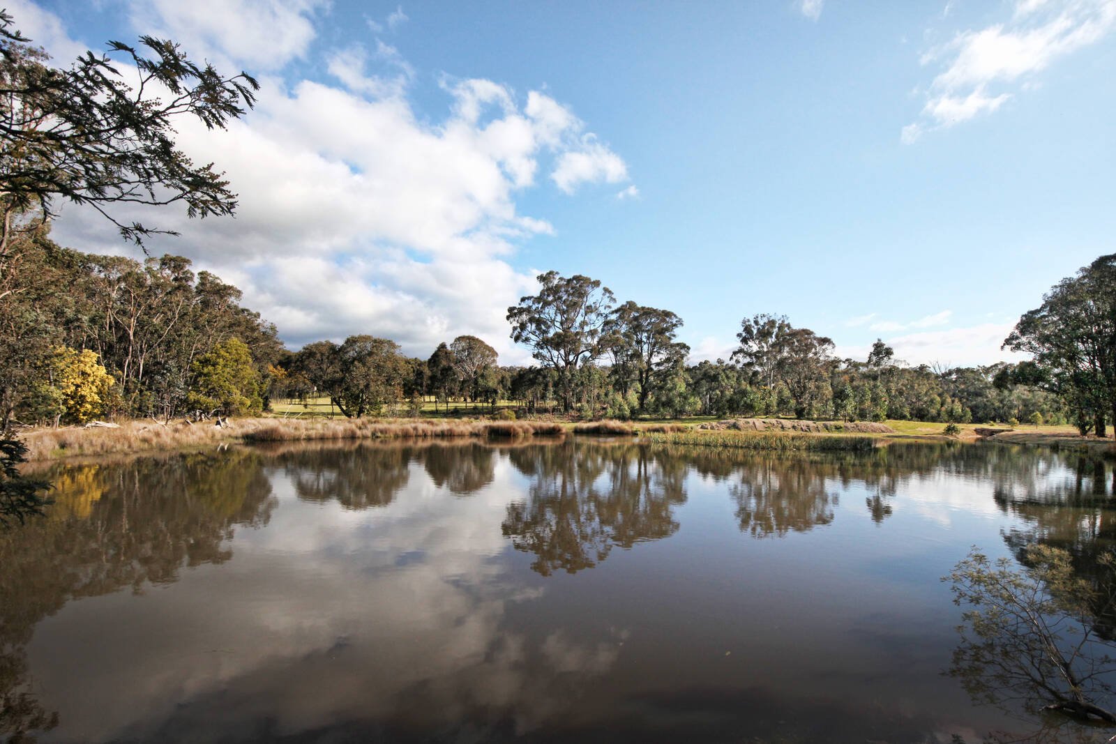 Property Gallery Thumbnail 2