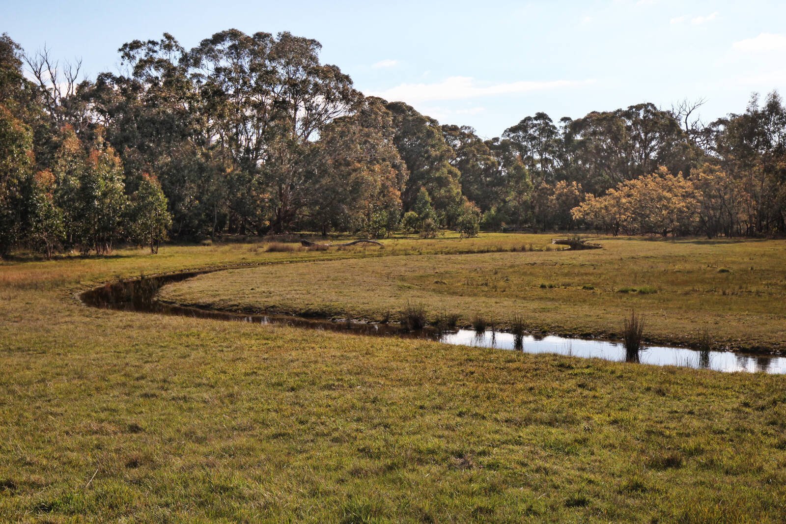 Property Gallery Thumbnail 6