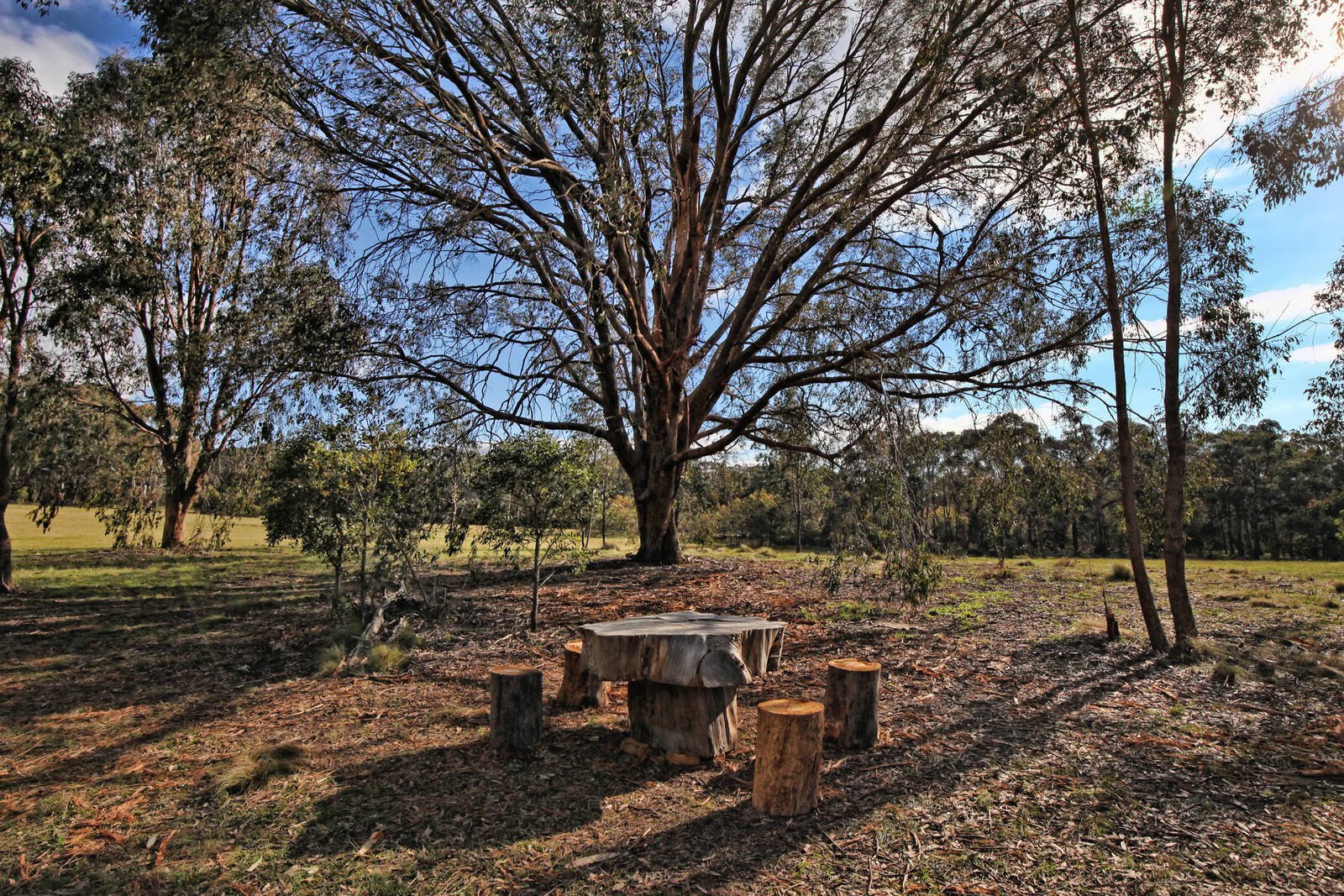 Property Gallery Thumbnail 11