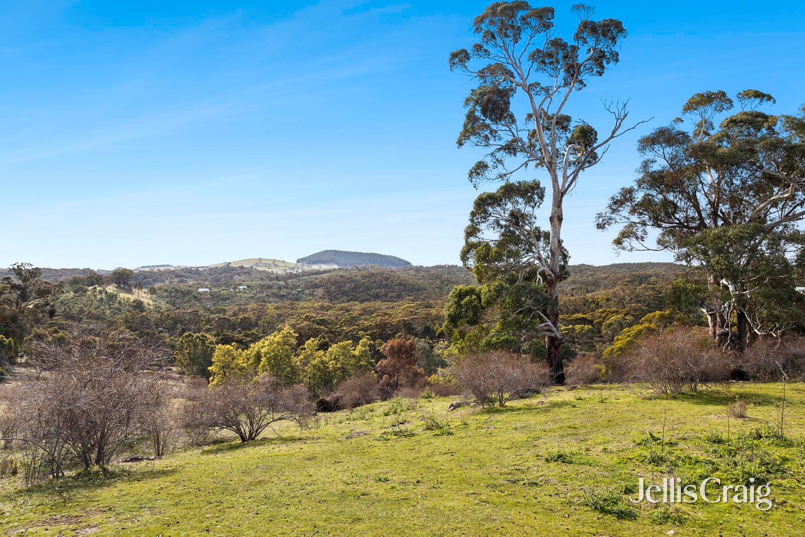 Lot 1 Lot 1 Charlies Road, Elevated&nbsp;Plains image 2