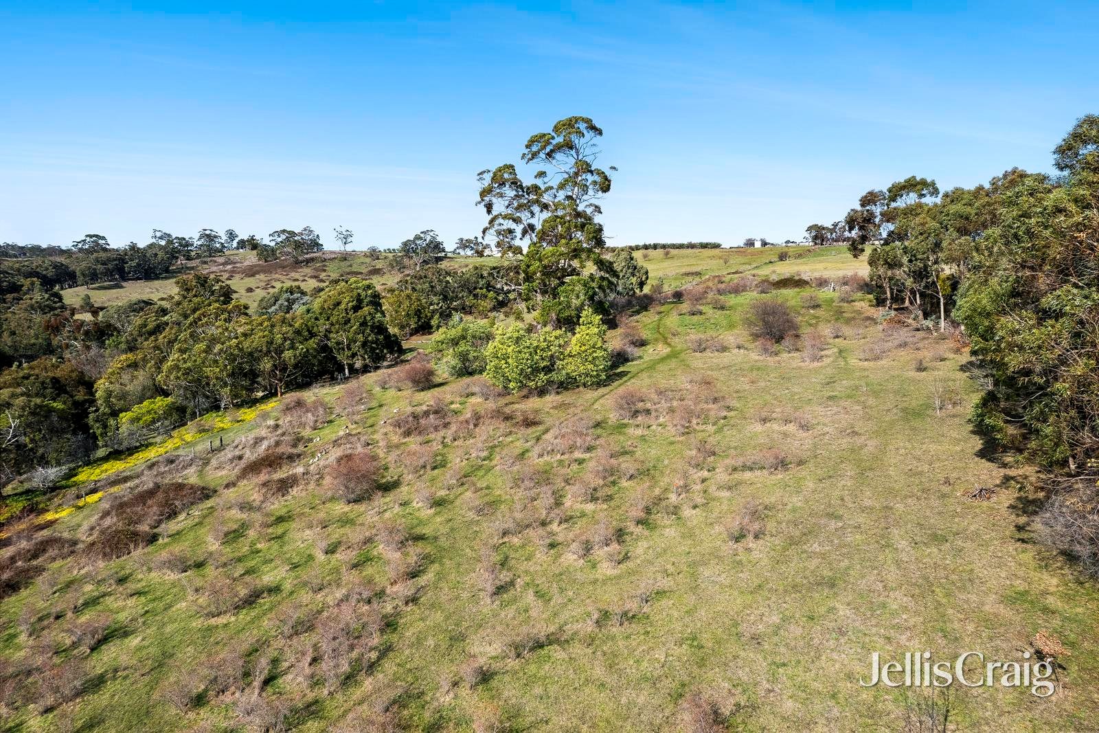 Lot 1 Lot 1 Charlies Road, Elevated&nbsp;Plains image 4