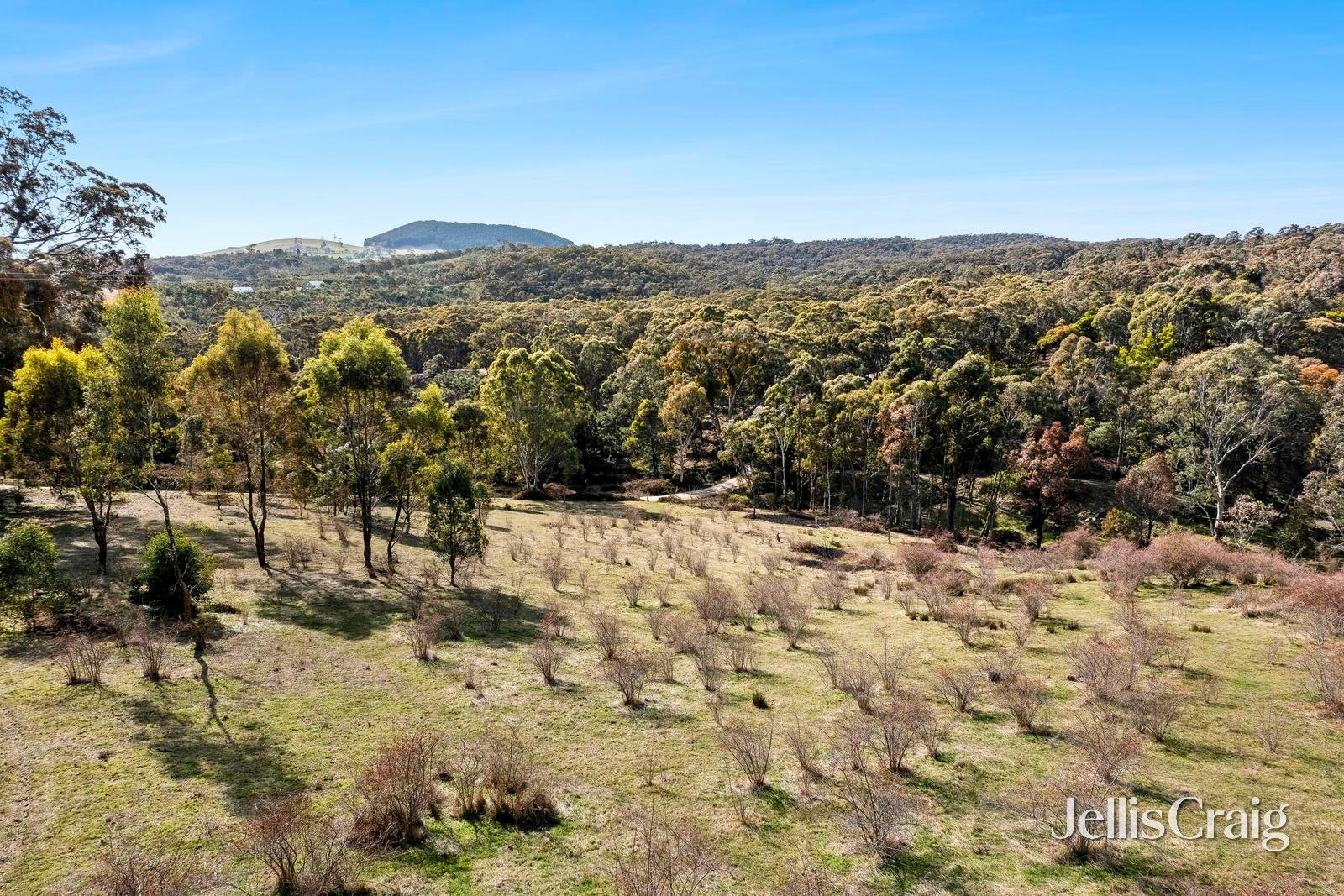 Lot 1 Lot 1 Charlies Road, Elevated&nbsp;Plains image 5