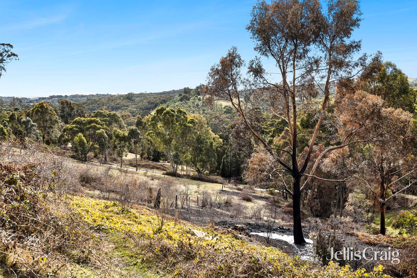Lot 1 Lot 1 Charlies Road, Elevated&nbsp;Plains image 6
