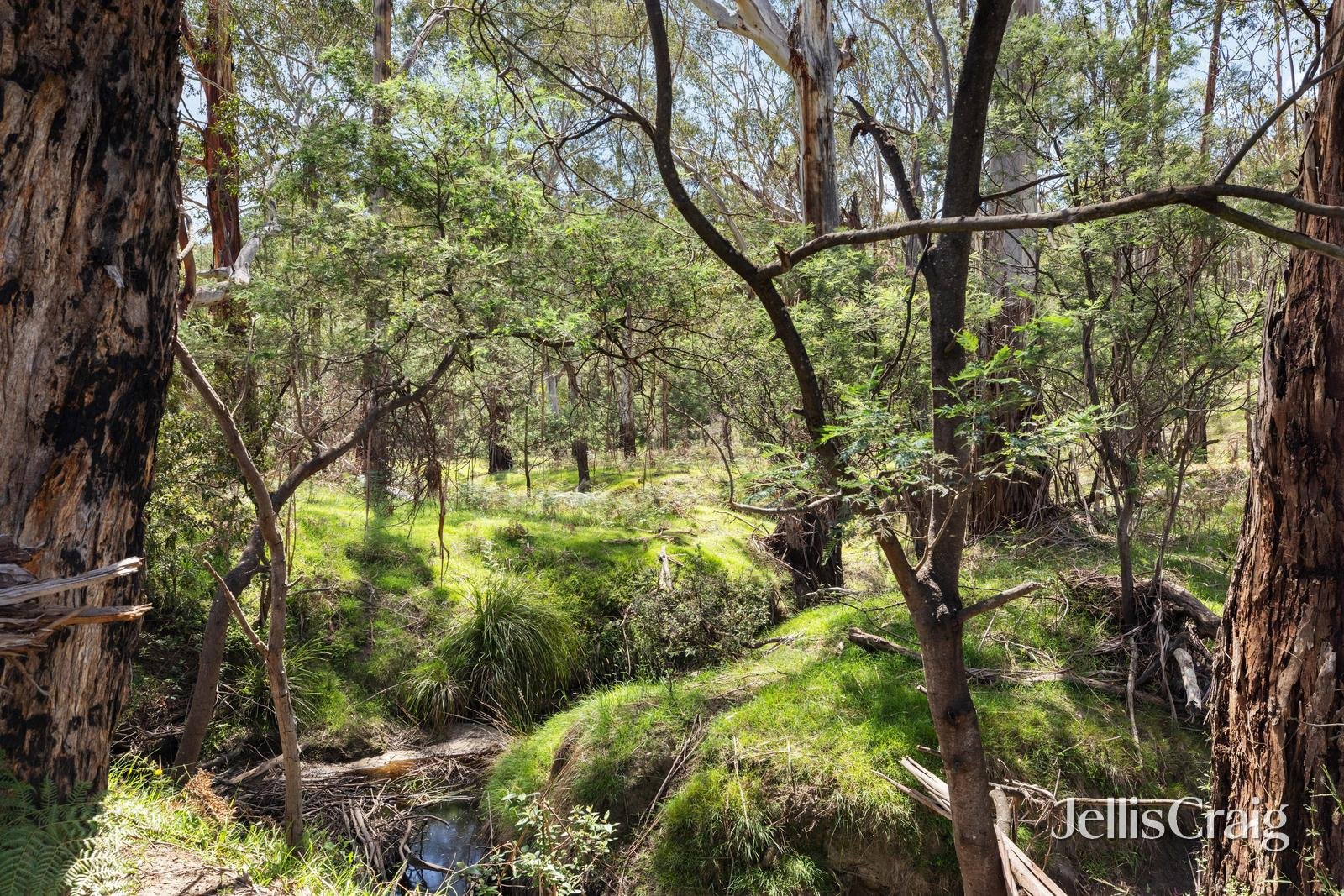 Lot 1/1533 Eltham-Yarra Glen Road, Christmas&nbsp;Hills image 5