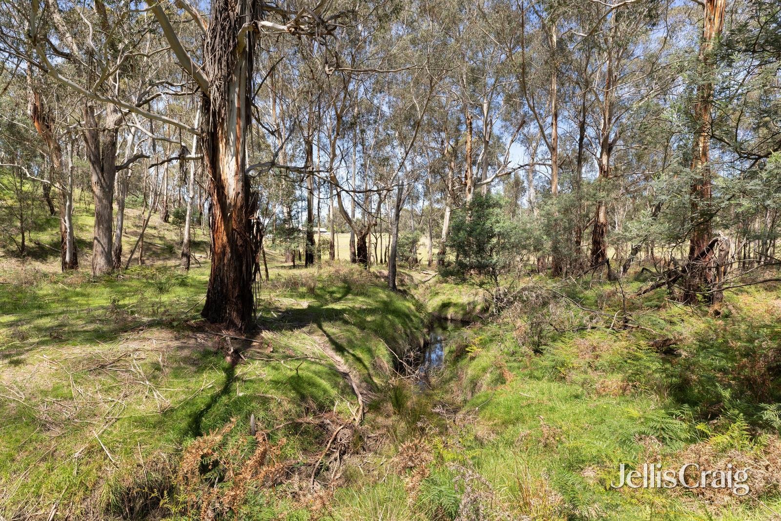 Lot 1/1533 Eltham-Yarra Glen Road, Christmas&nbsp;Hills image 6