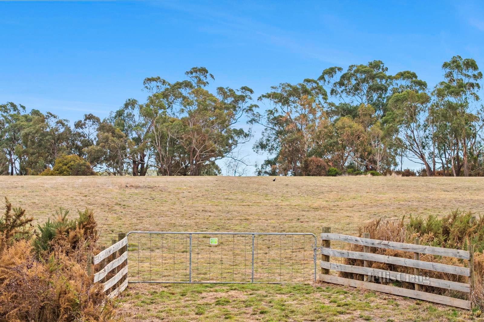 Lot 1 Northumberland Road, Kyneton image 3