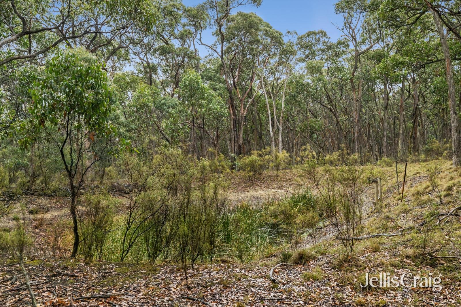 Lot 1 Skirkas Road, Buninyong image 5