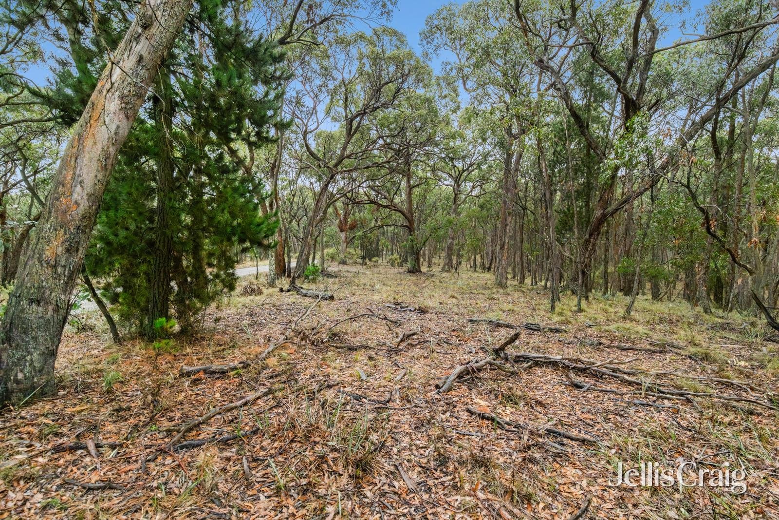 Lot 1 Skirkas Road, Buninyong image 6