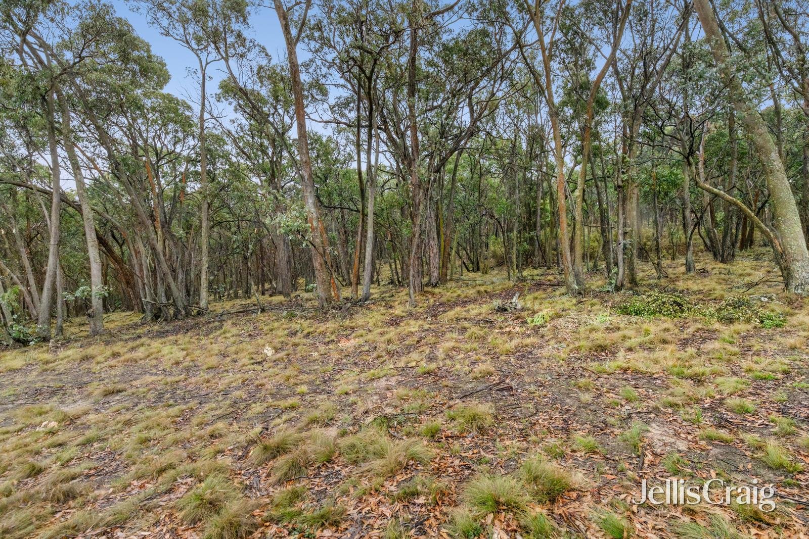 Lot 1 Skirkas Road, Buninyong image 7