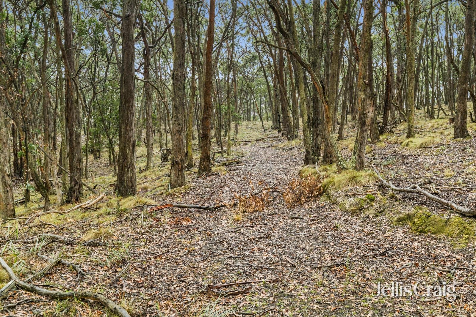 Lot 1 Skirkas Road, Buninyong image 10