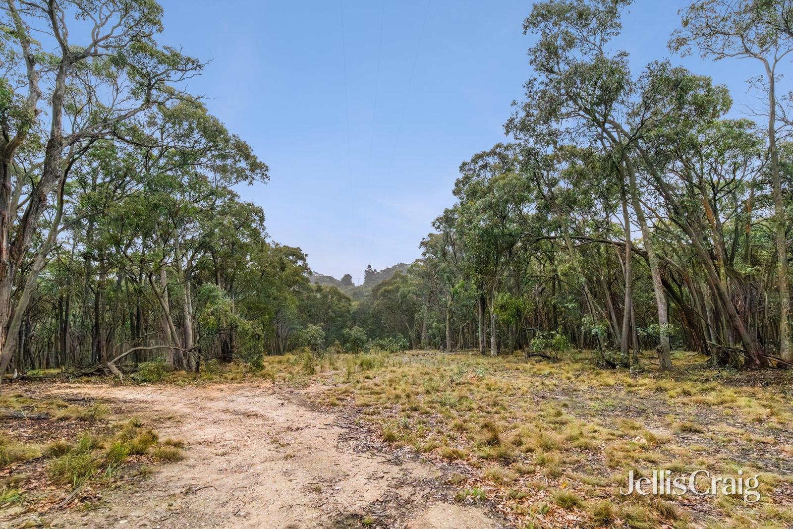 Lot 1 Skirkas Road, Buninyong image 12