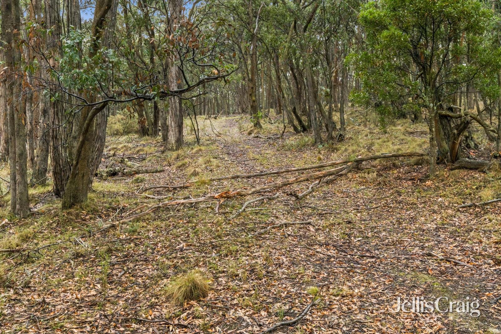 Lot 1 Skirkas Road, Buninyong image 14